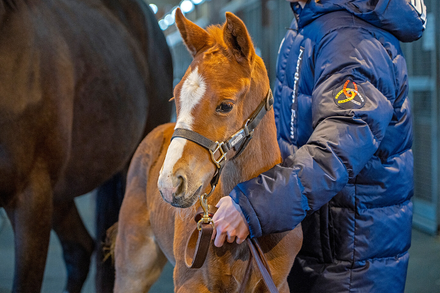 ダブルアンコール2026 写真