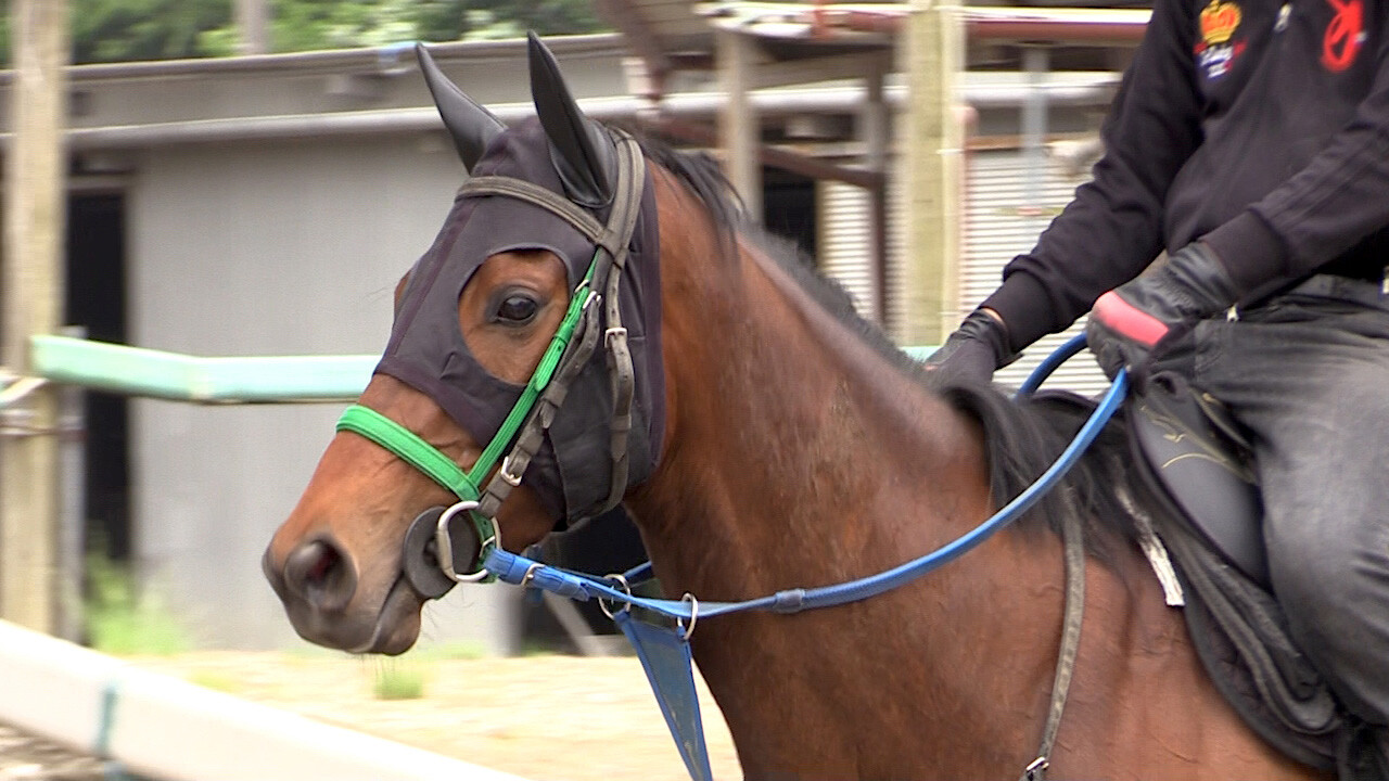 アイワナシーユー 写真