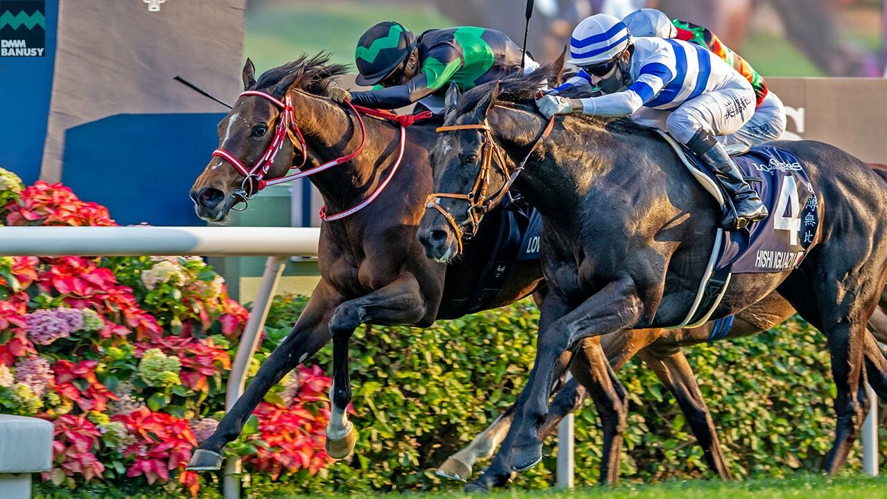 ラヴズオンリーユー DMMバヌーシー