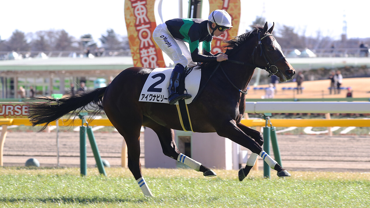 アイワナビリーヴ 写真