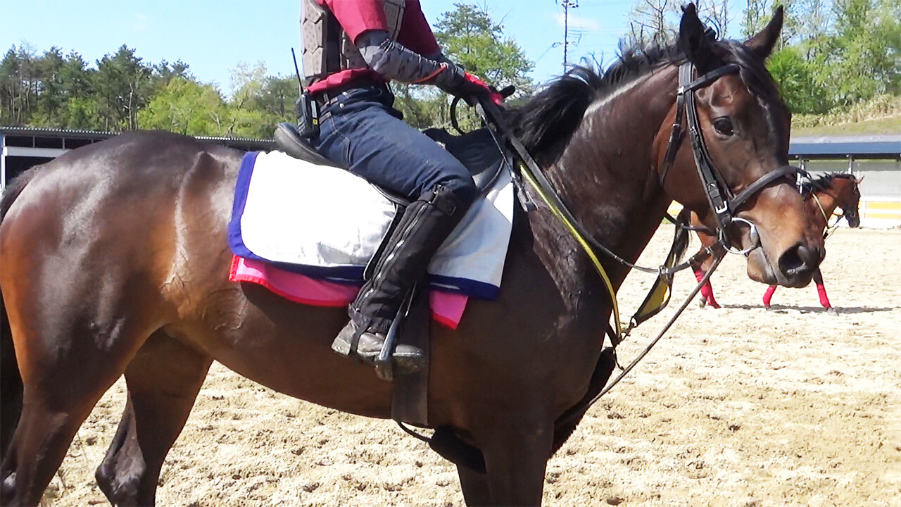 ファイナルドリーム 写真