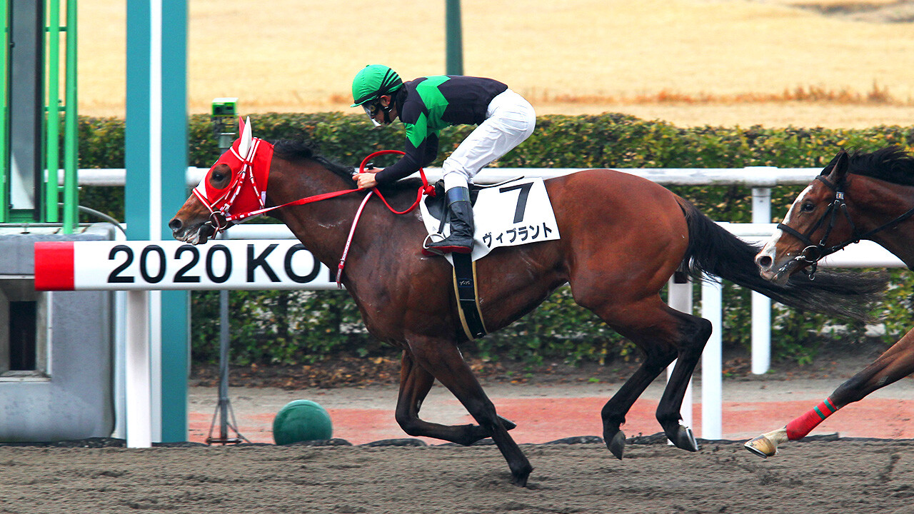 ヴィブラント 写真