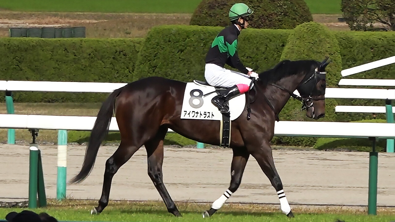 アイワナトラスト | DMMバヌーシー