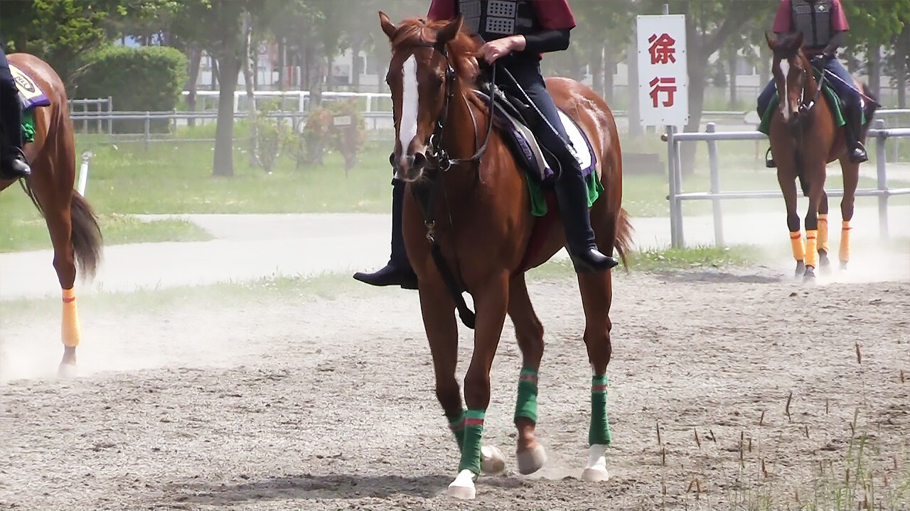 ラヴインザチャーム 写真