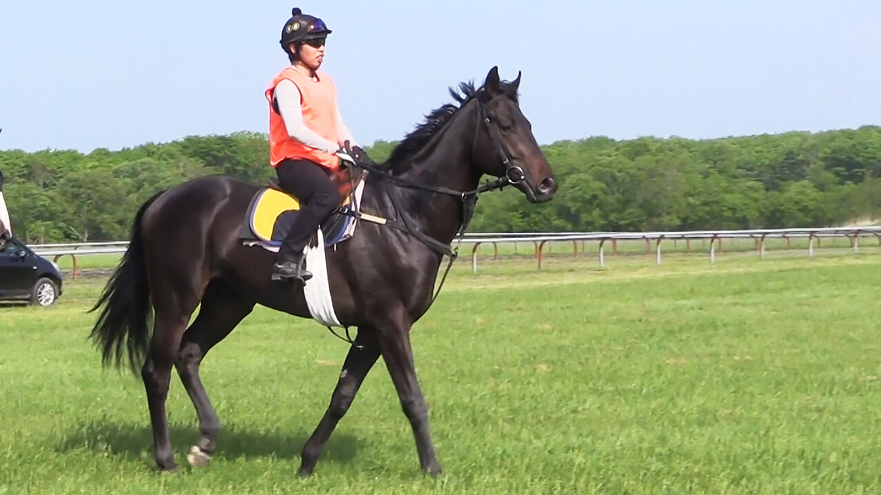 レアンカルナシオン 写真