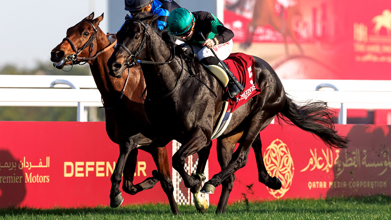 ディープモンスター 写真