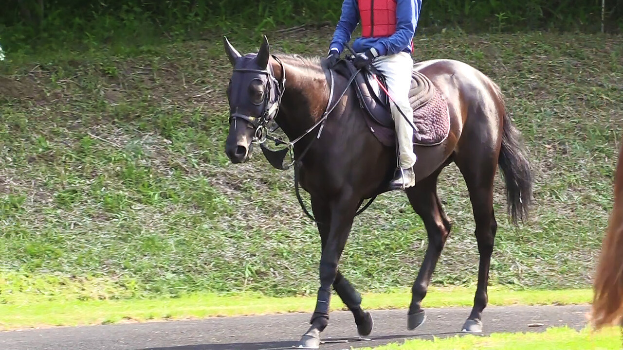 アイワナスマイル 写真