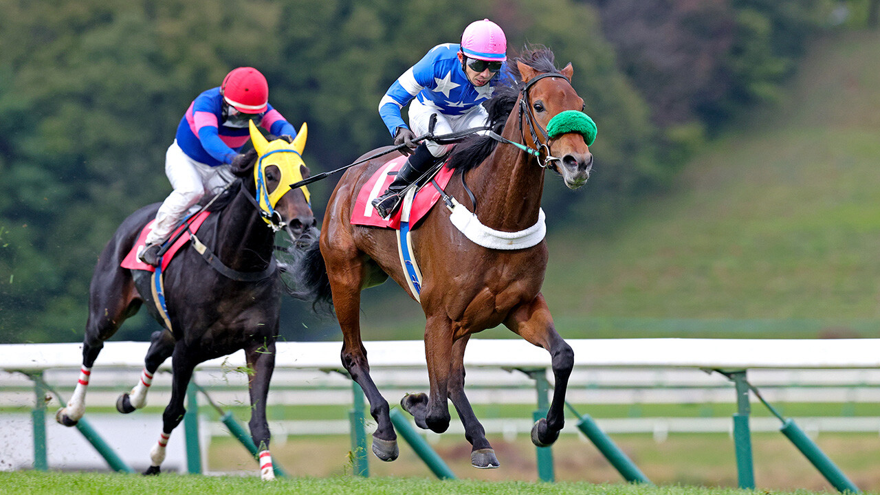 ラヴィエント 写真