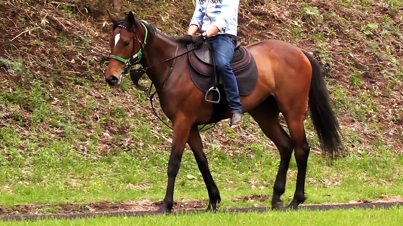 レプリューム 写真