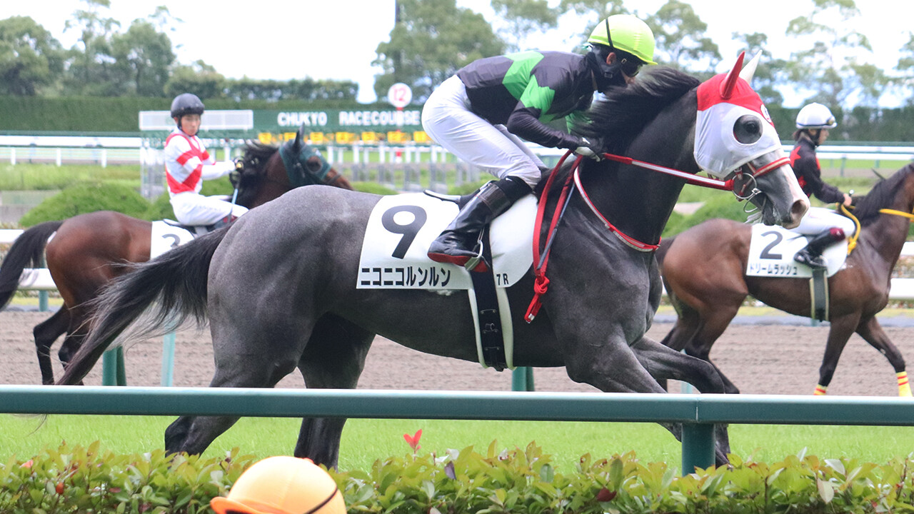 ニコニコルンルン 写真