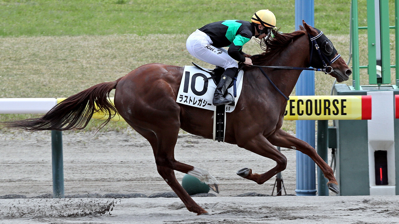 ラストレガシー 写真