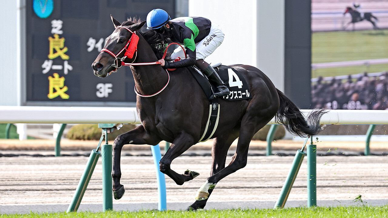 キングスコール 写真