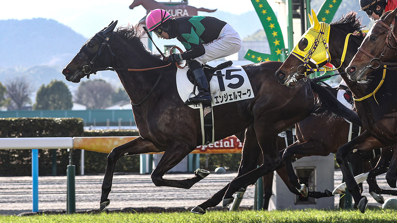 エンジェルマーク 写真