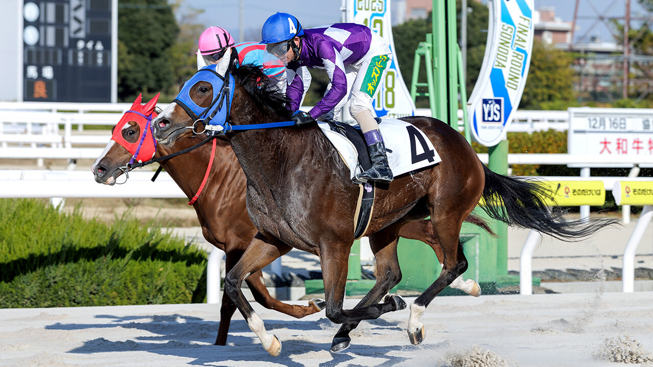 リリーオブザハート 写真