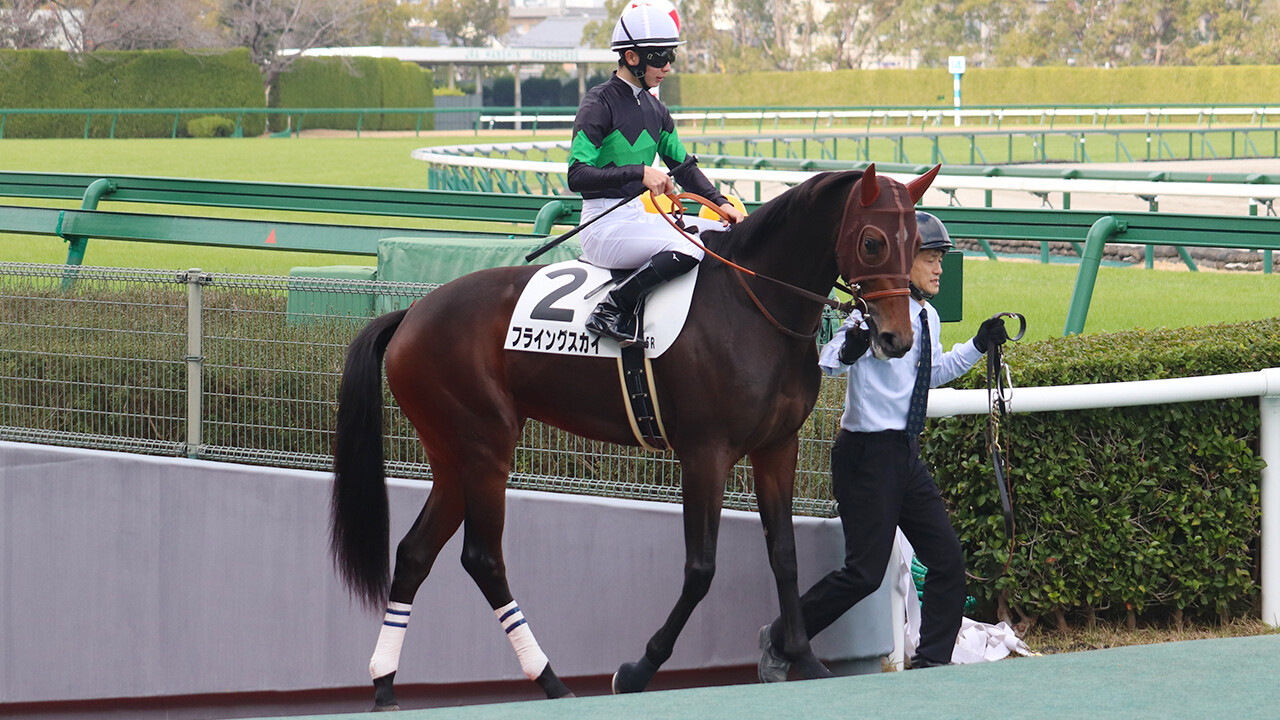 フライングスカイ 写真