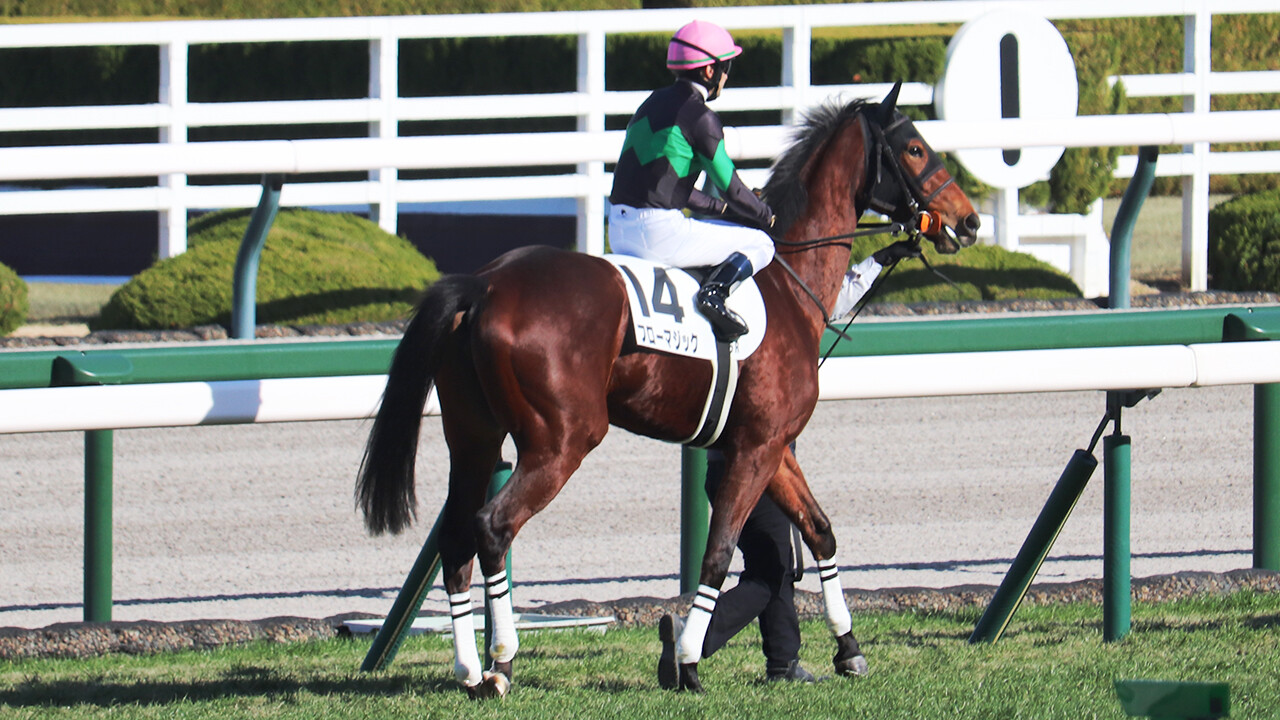 フローマジック 写真