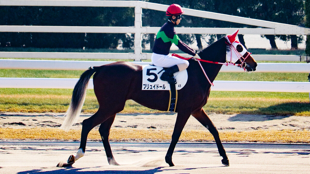 プリュイドール 写真