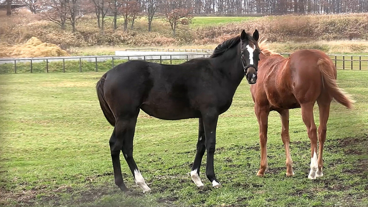 ダブルアンコール2025 写真