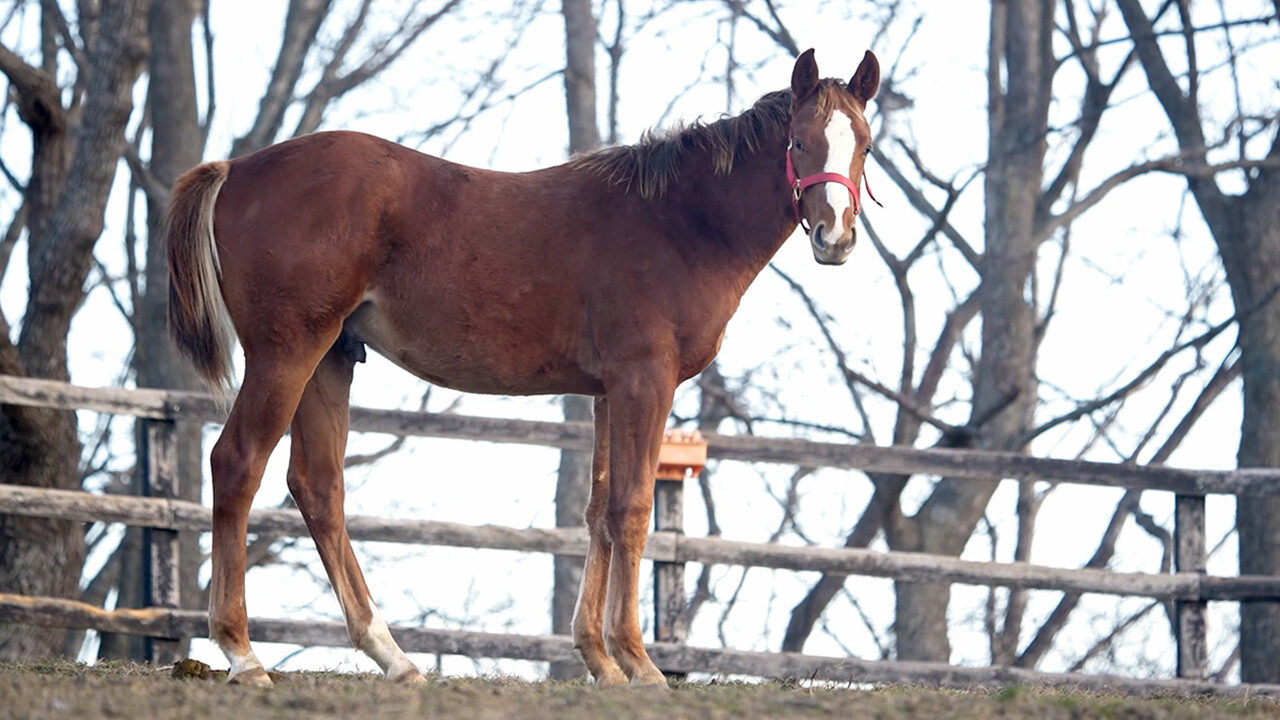 エターナルハート2025 写真