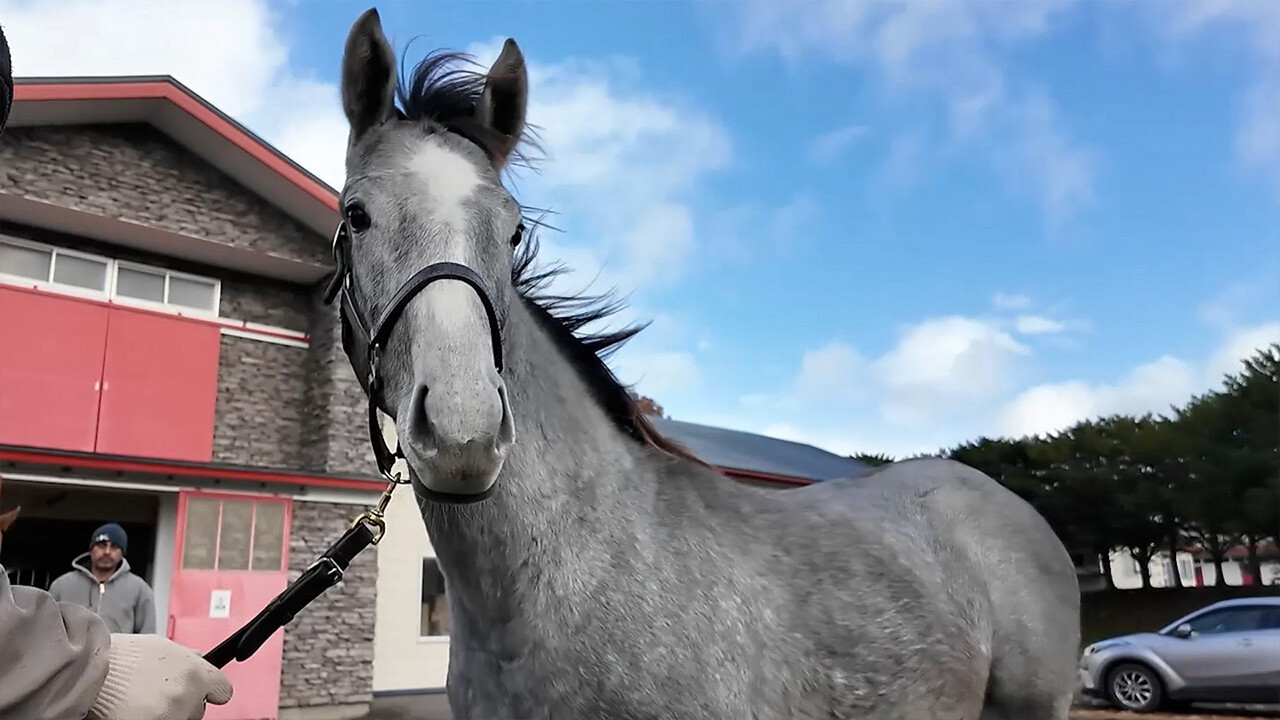 アイワナビリーヴ2025 写真