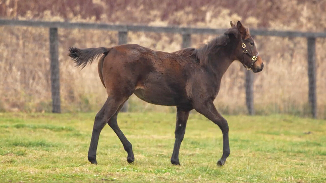 オーヴァルブルーム2025 写真