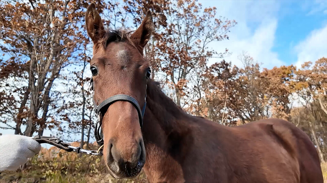 アイワナシーユー2025 写真