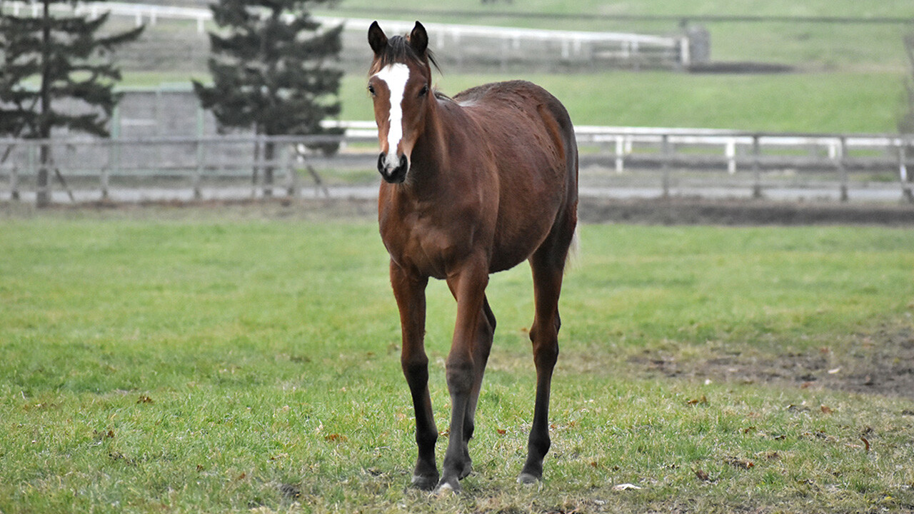 キストゥヘヴン2025 写真