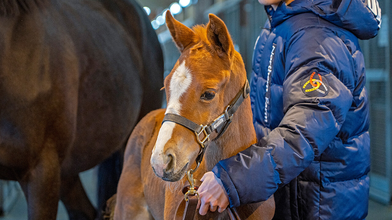 ダブルアンコール2026 写真