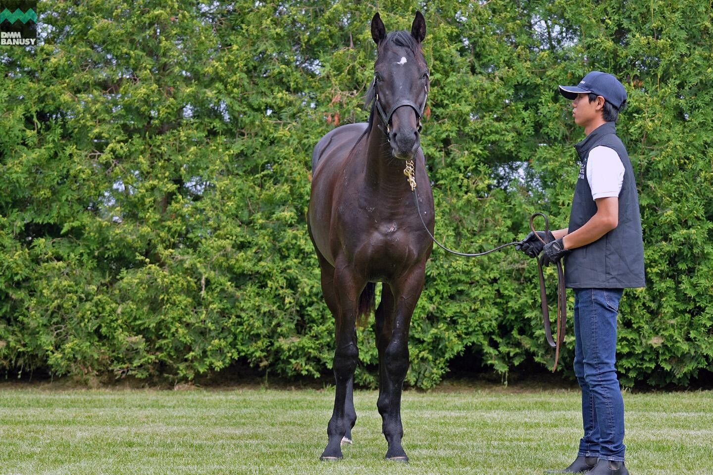 レイデラルース 馬体フォト 2022/07/14