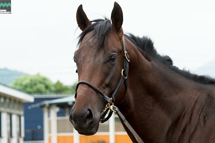 アイスブラスト 馬体フォト 2018/07/27