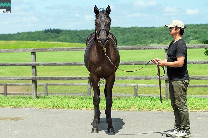 ハーツシンフォニー 馬体フォト 2018/07/28