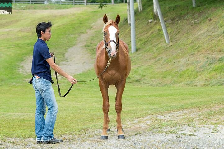 オーロアドーネ 馬体フォト 2018/07/27