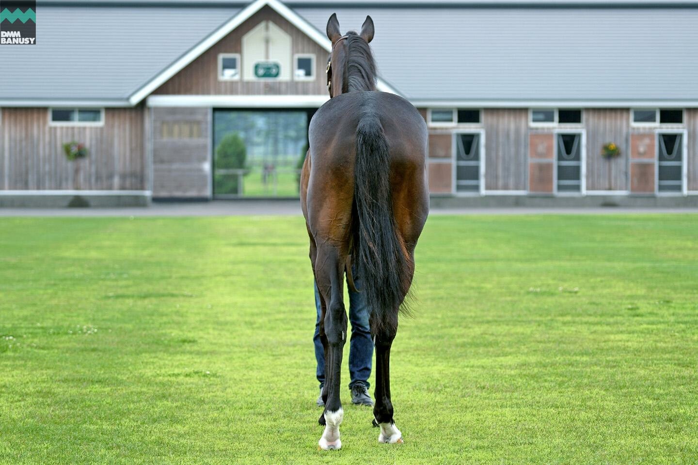 パンドジェーヌ 馬体フォト 2022/07/14