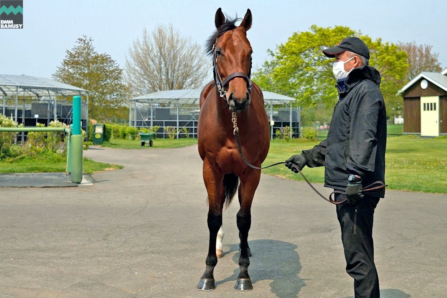 シュリット 馬体フォト 2022/05/19