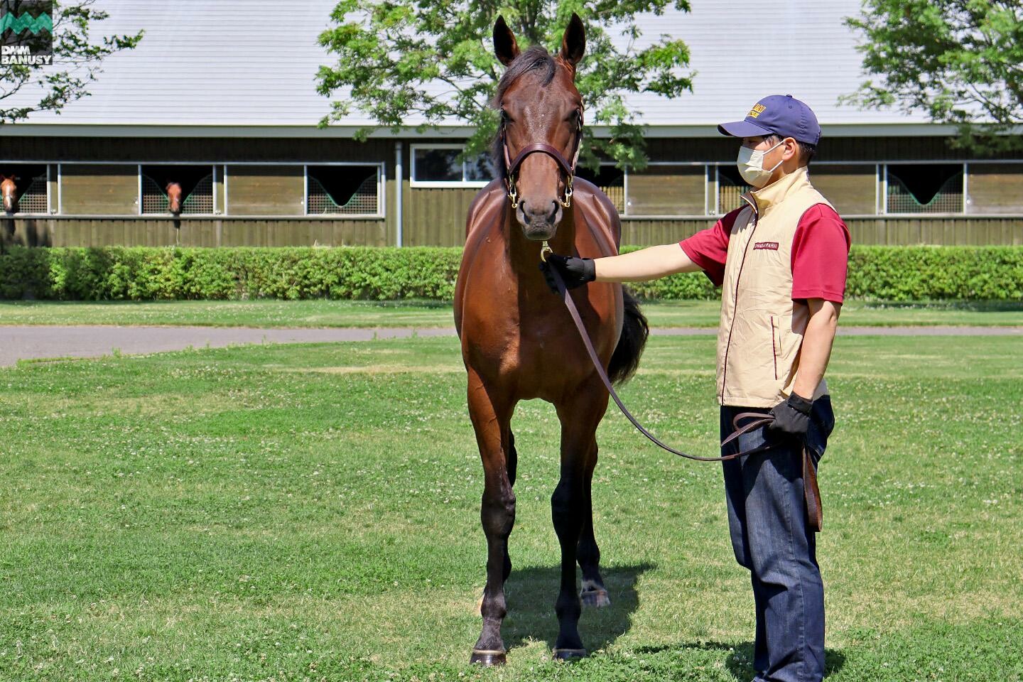 シャンドゥレール 馬体フォト 2021/07/14