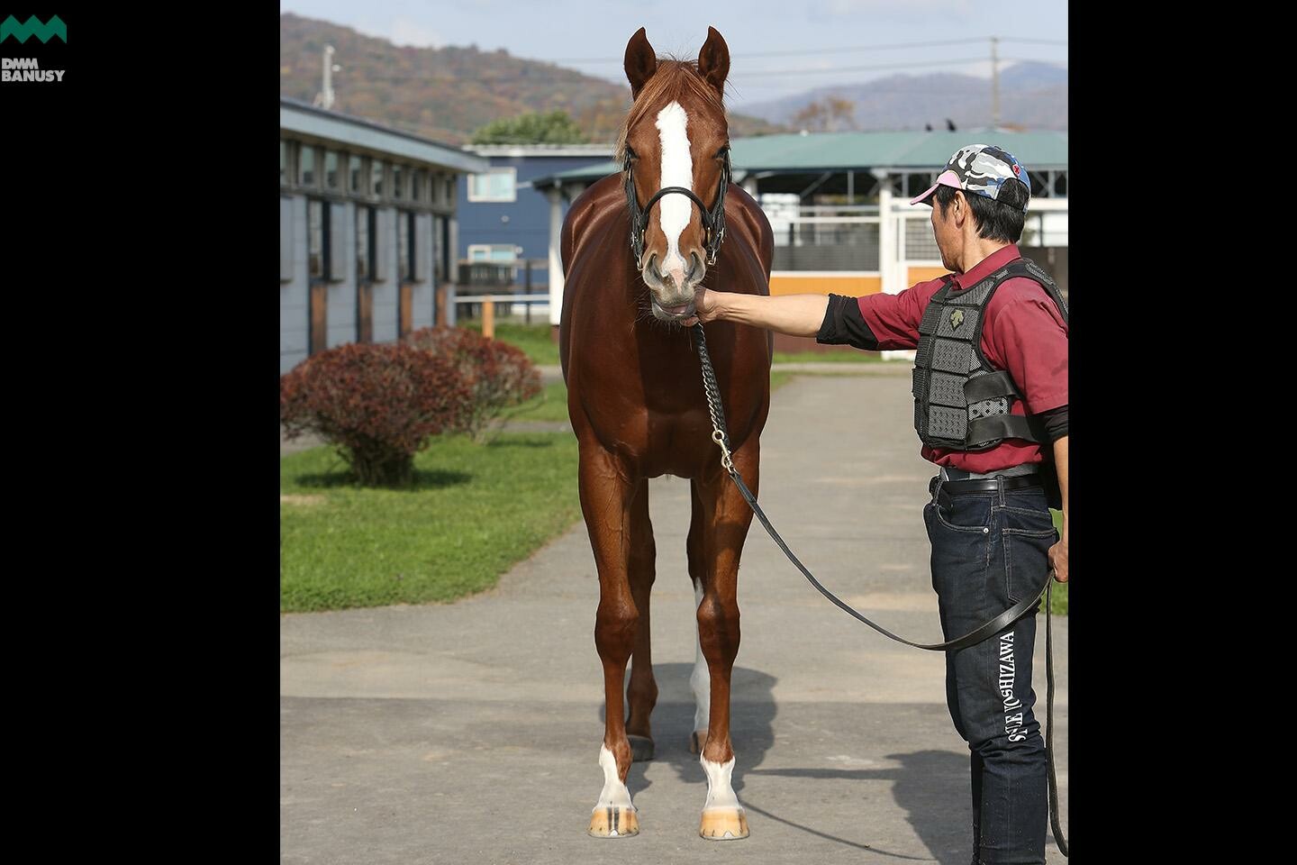 ラヴインザチャーム 馬体フォト 2019/10/24