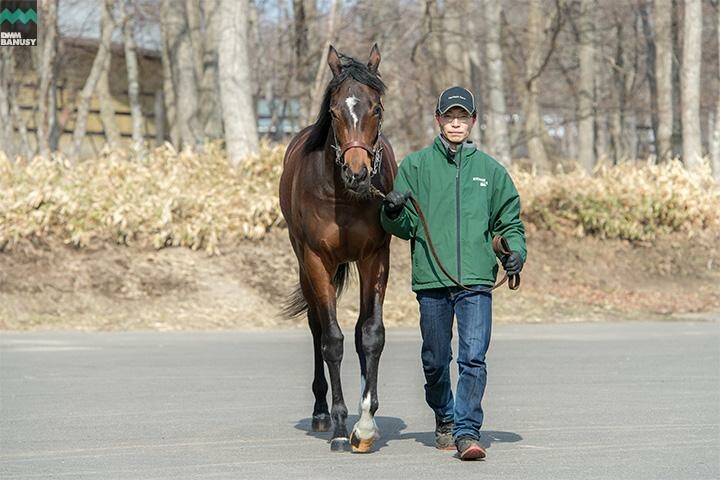 ラヴズオンリーユー 馬体フォト 2018/04/10