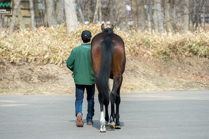 ラヴズオンリーユー 馬体フォト 2018/04/10