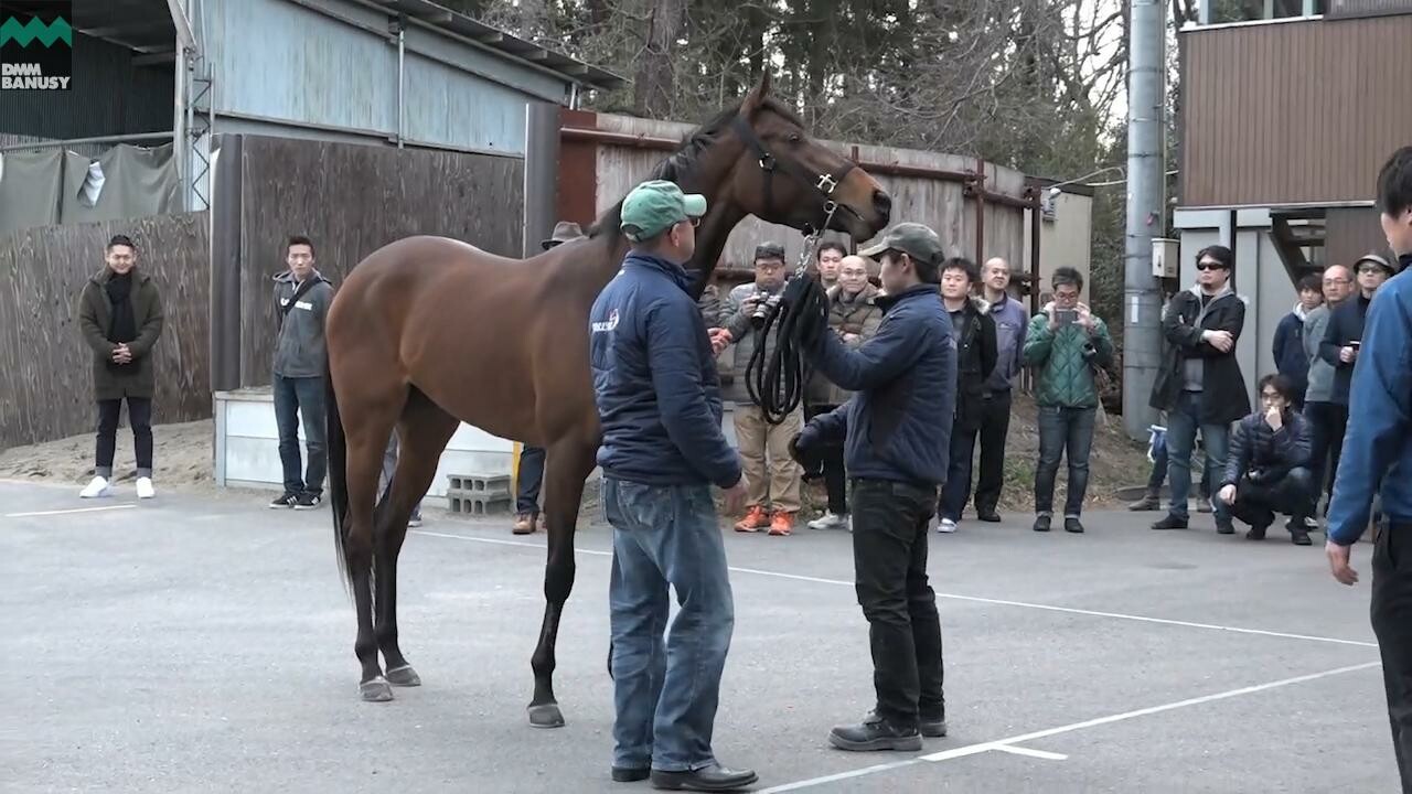 ディープシャイン 第2回牧場見学
