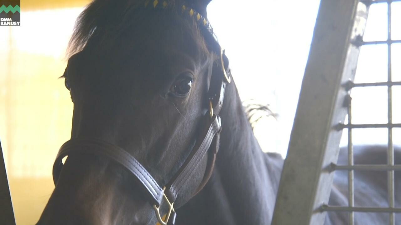 ディープシャイン PV