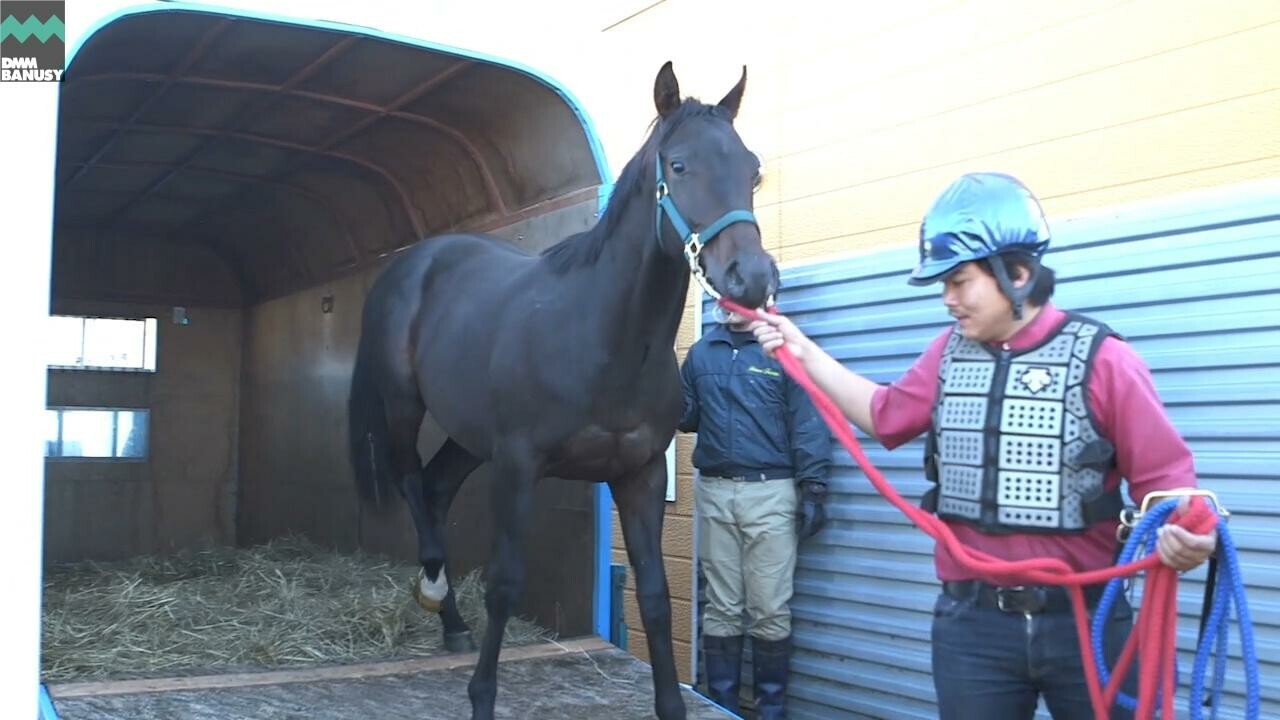 ディープシャイン 矢野牧場からの巣立ち