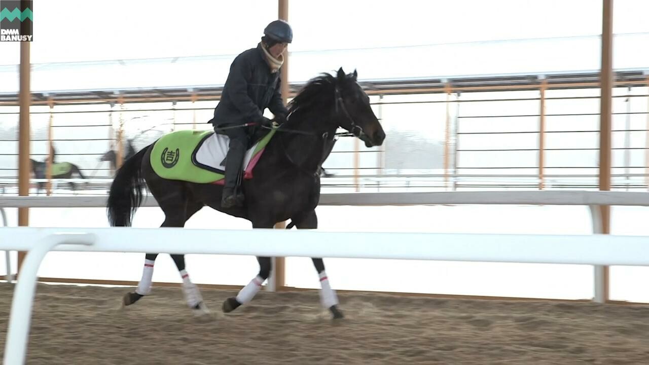 ディープシャイン 厳しい冬での調教