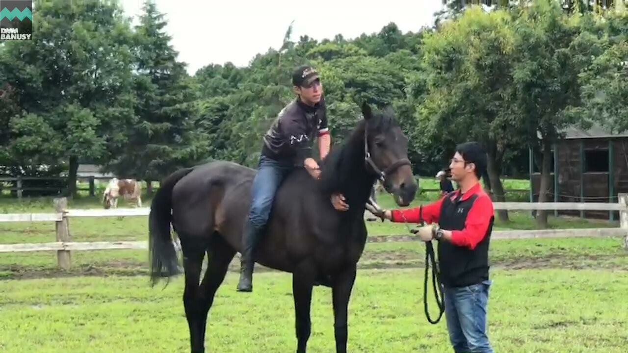 ディープシャイン 乗用馬に向けて