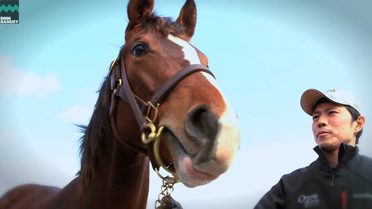 キタノインパクト PV