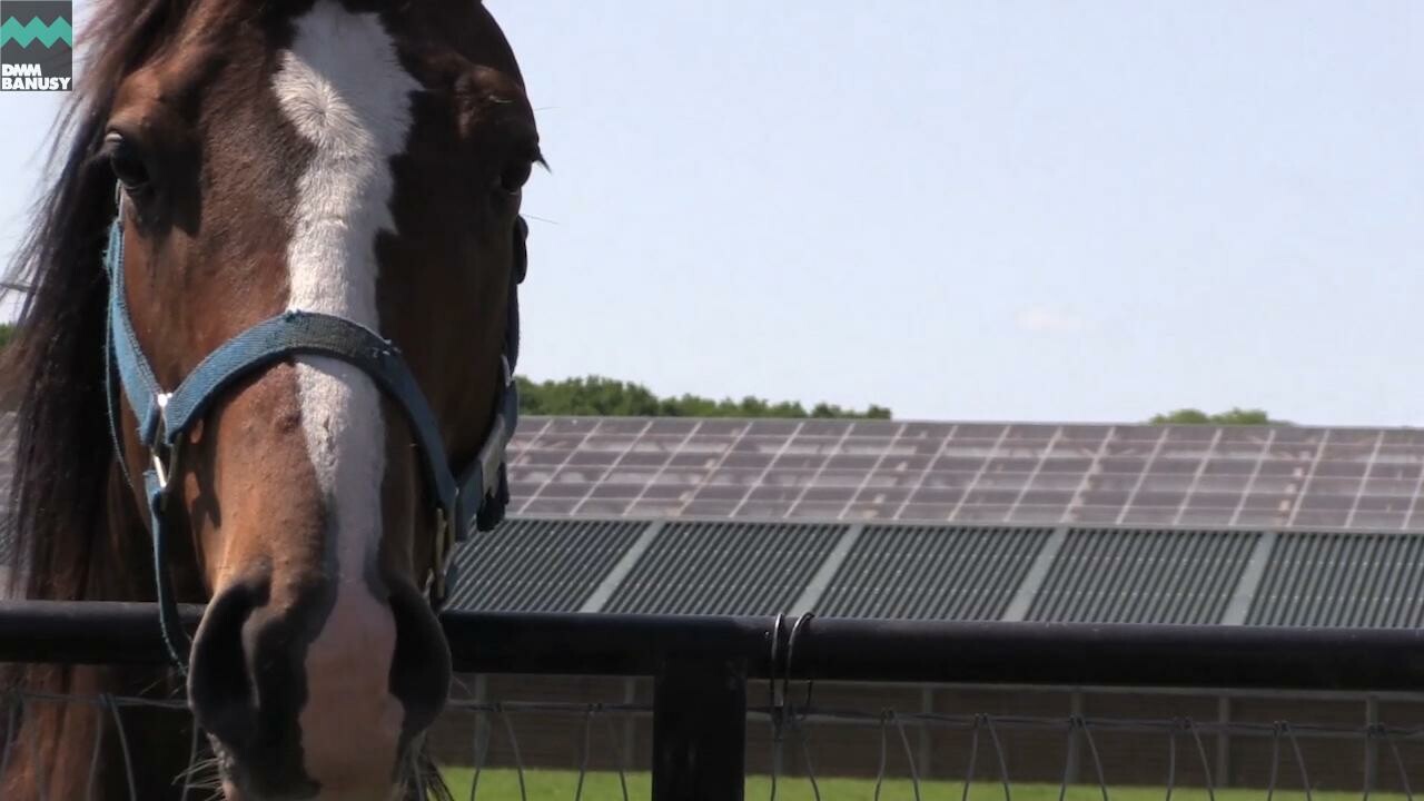 キタノインパクト 育成厩舎へ