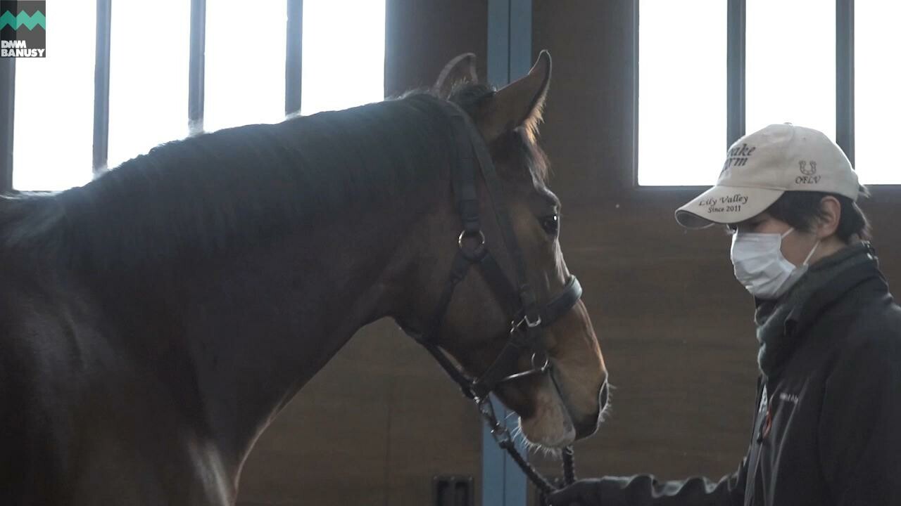 キタノインパクト 初めての装蹄