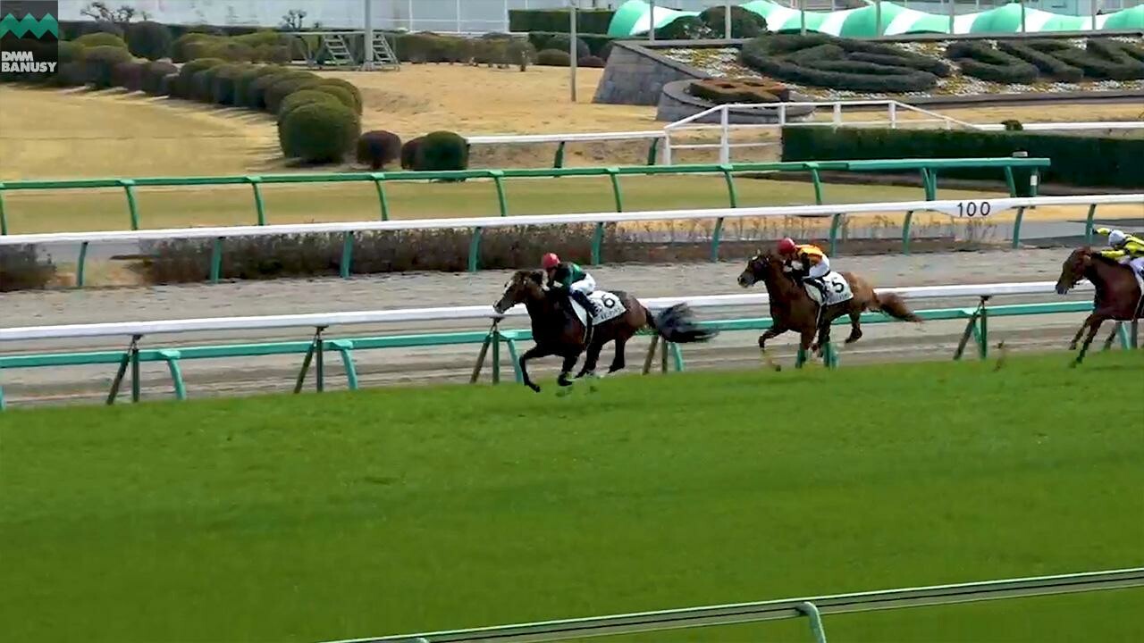 キタノインパクト 復帰までの道のり