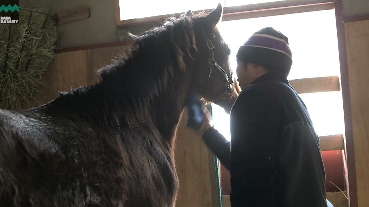 ドリームインパクト 冬の1日