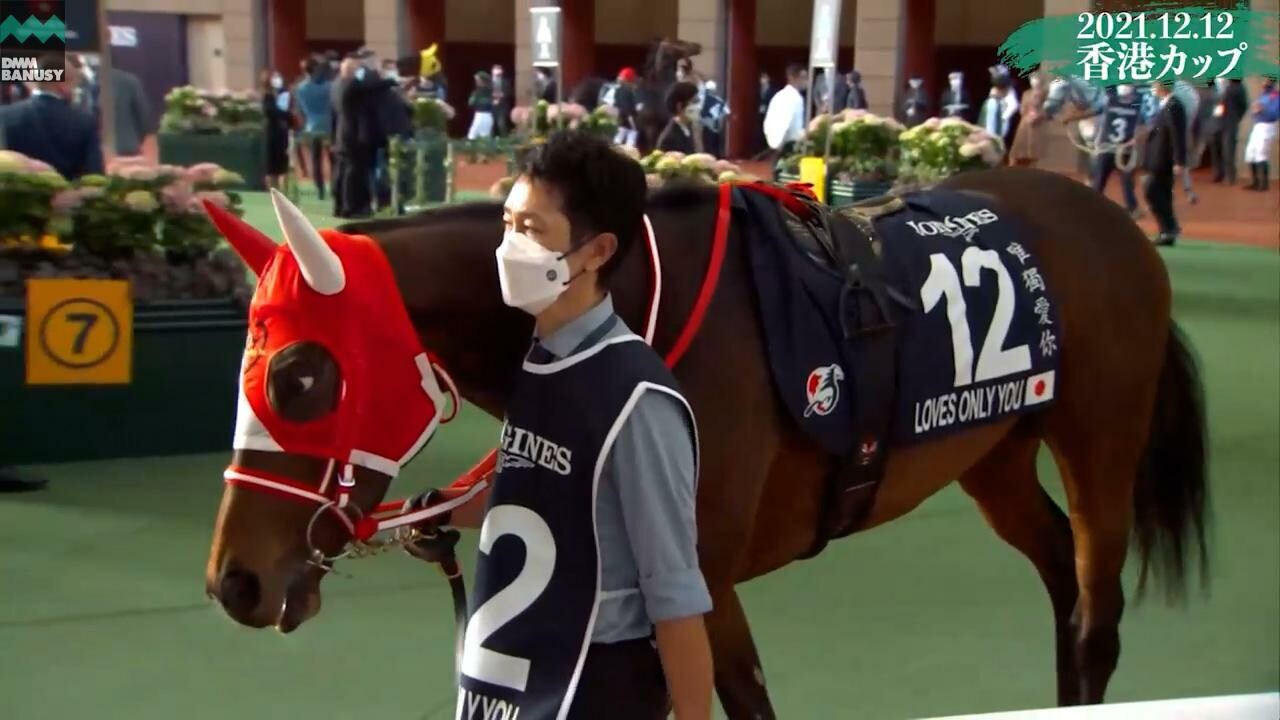 ラヴズオンリーユー 香港カップ レースまでの様子