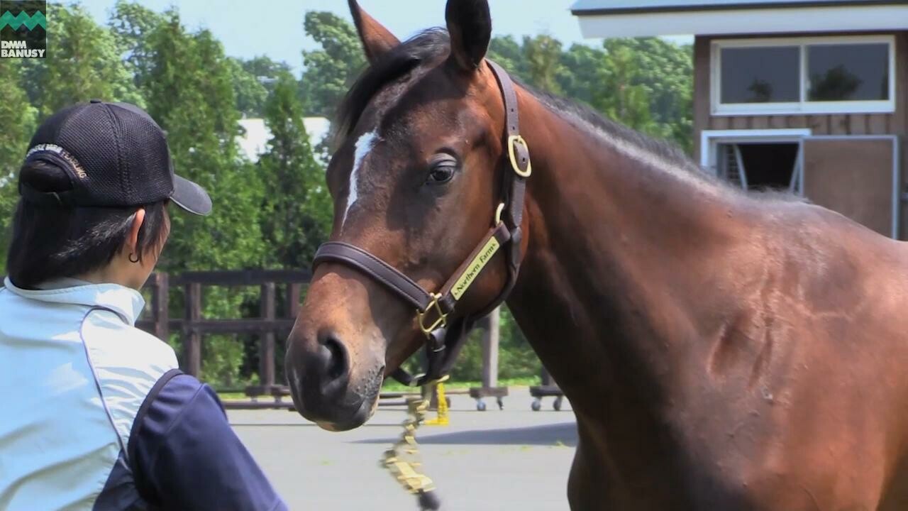 ラヴズオンリーユー PV2018